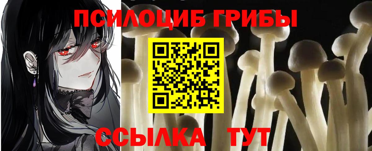 Псилоцибиновые грибы прущие грибы Волжск