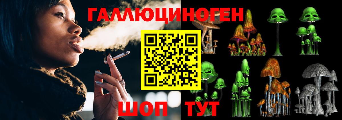 Псилоцибиновые грибы Psilocybe  Вход с VPN  Волжск 